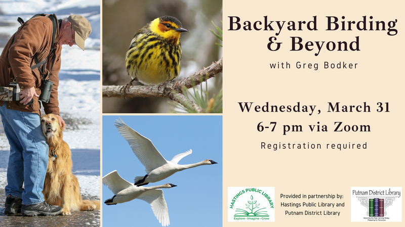 Backyard Birding and Beyond