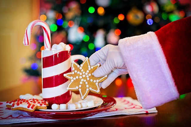 Cookies with Santa Cookies with Santa