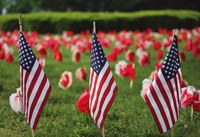 Library Closed for Memorial Day 2024