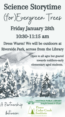 Science Storytime: Evergreen Trees