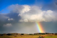 Science Storytime - Raindrops to Rainbows
