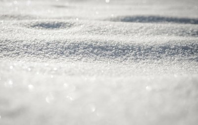 Science Storytime - Tracks in the Snow