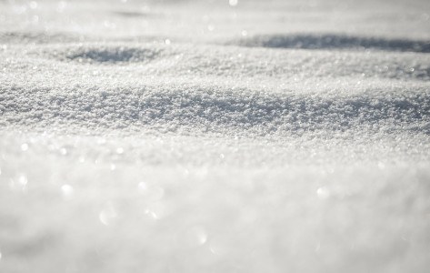 Science Storytime - Tracks in the Snow Science Storytime - Tracks in the Snow