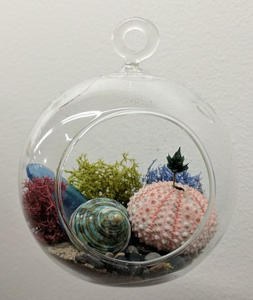 Teen Tiny Terrariums