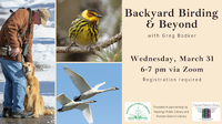 Backyard Birding and Beyond March 31