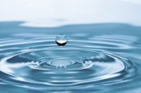 Science Storytime 3/19 - Water All Around Us