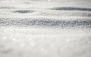 Science Storytime - Tracks in the Snow