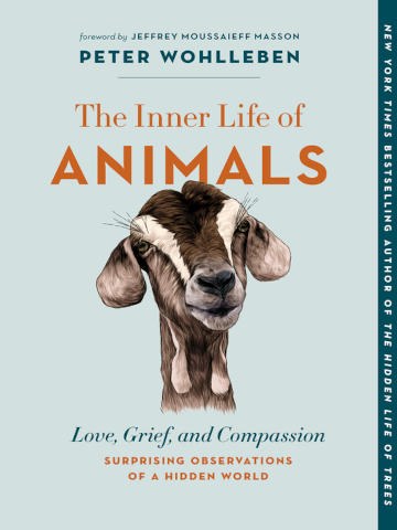 animalinner.jpg