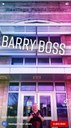 BarryBossThumbnail.jpg