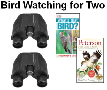 BirdWatching.jpg