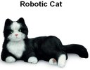 cat.jpg