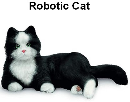 cat.jpg