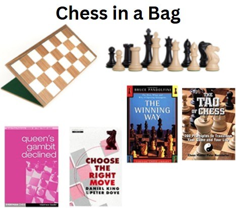Chess in a Bag.jpg