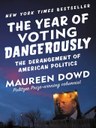 dangerousvote.jpg