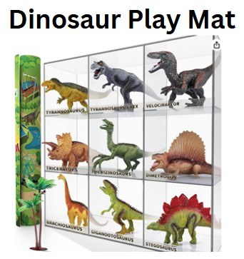 Dinosaur Play Mat.jpg