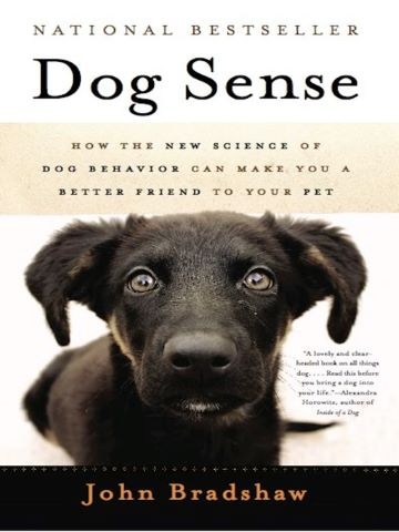 DogSense.jpg