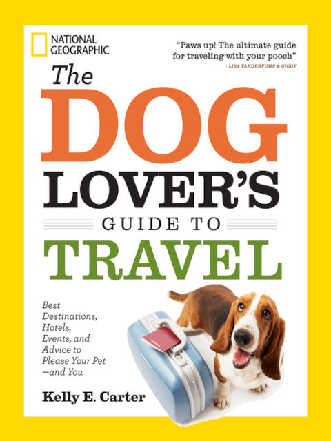 dogtravel.jpg