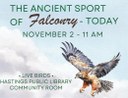 Falconry 400 px.jpg