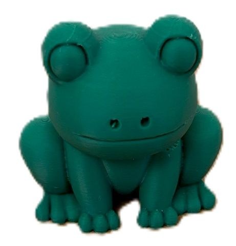 frog.jpg