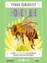 HoneyBee.JPG