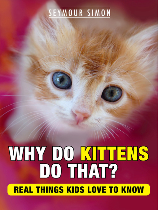 kittens.jpg