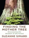 mothertree.jpg