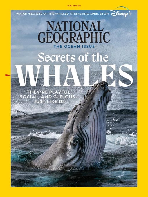 NatGeo.jpg