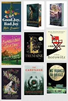 New Adult Fiction & Large Print Title Images as of 5/11/2026
