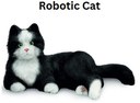 Robotic Cat.jpg