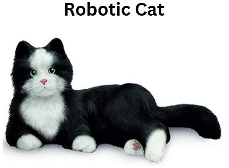 Robotic Cat.jpg