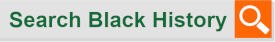 SearchBarBlackHistory.jpg