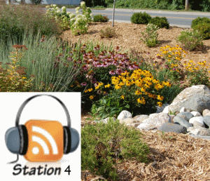 Station-4-Rain-Garden.gif