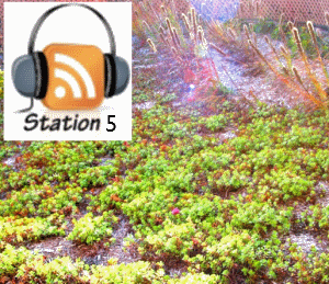 Audio Station 5 - Rooftop Garden