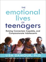 The Emotional Lives of Teenagers ebook