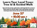 Tree ID.jpg