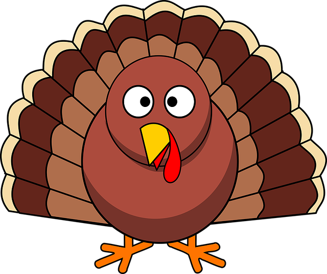 turkey-1299176_640.png